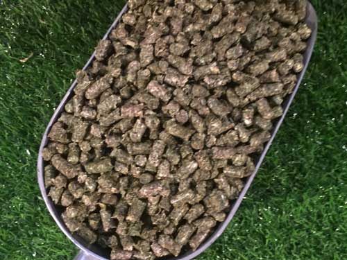 lucerne pellets